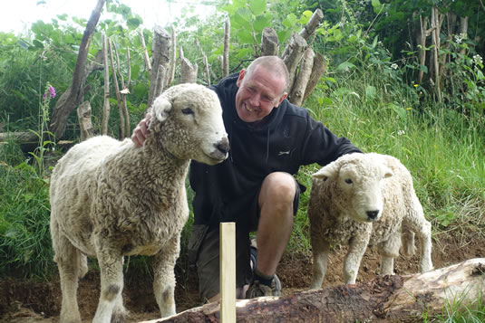 Lake Vyrnwy Animals and Crafts, Meet and Greet Sheep, link photo