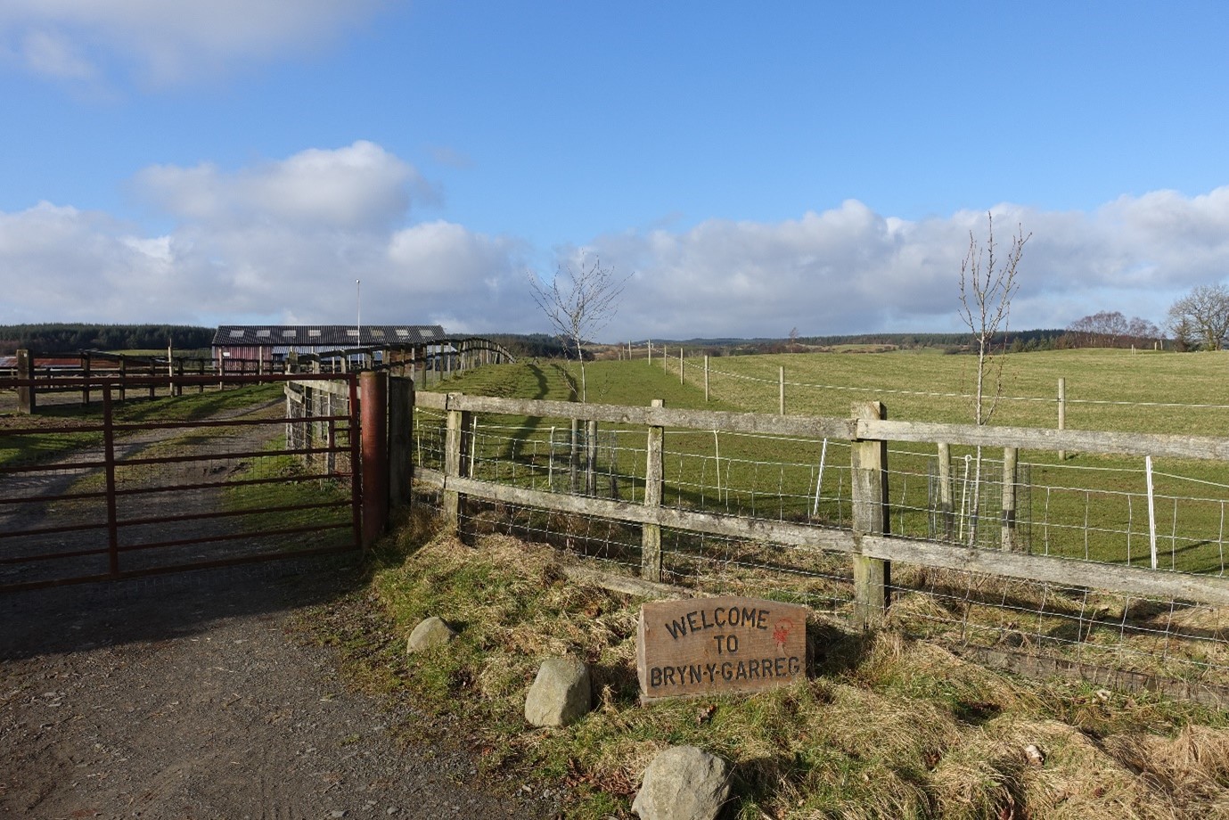 Lake Vyrnwy Animals and Crafts, Accommodation and Nearby Places 13