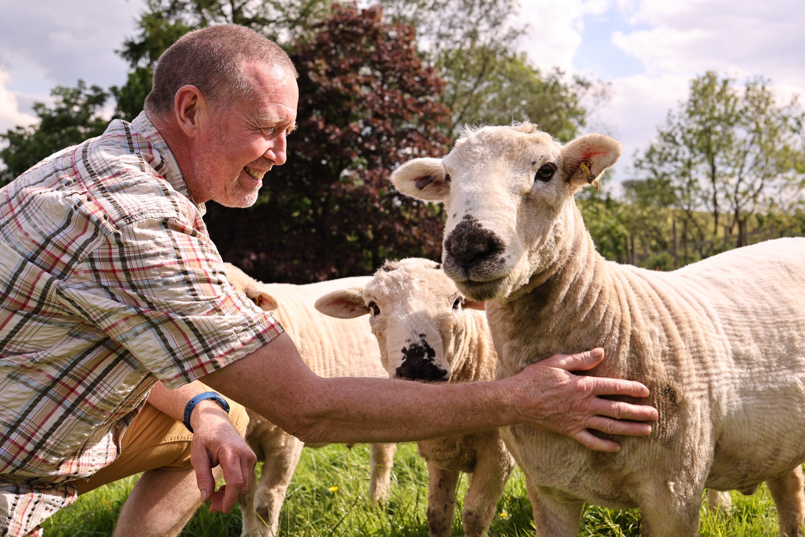 Animal activities in Lake vyrnwy